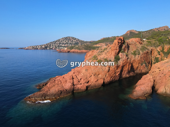 Esterel - affleurement de rhyolite - gryphea.com